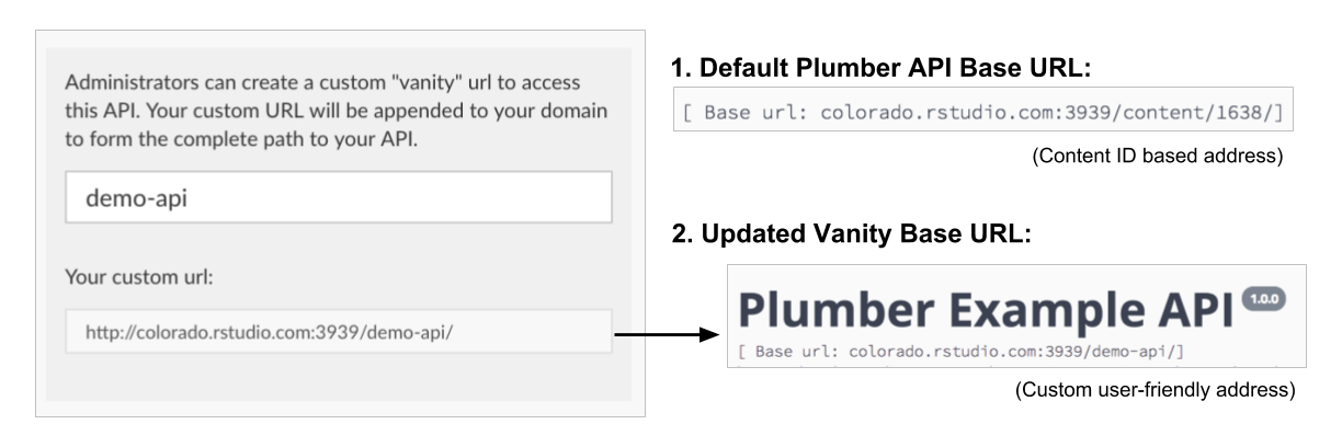Example Vanity URL