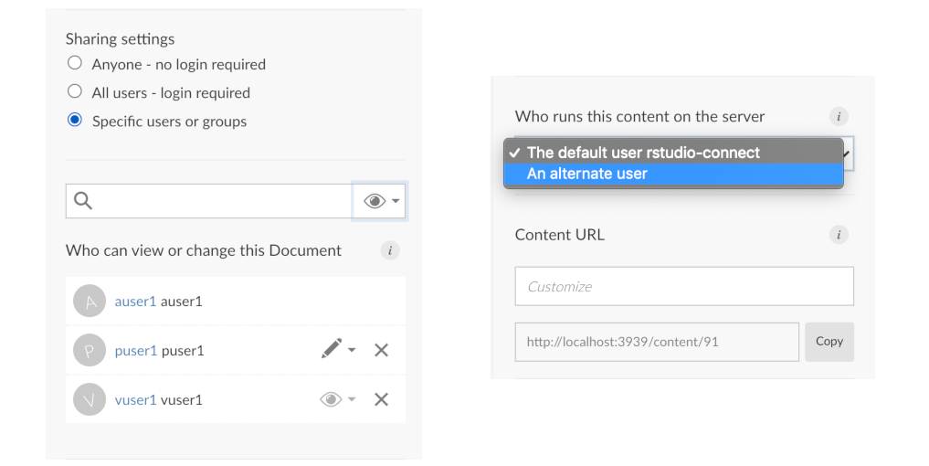 Access settings panel, showing visibility and collaboration options, 
content execution user choice, and custom URL.