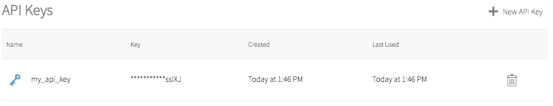 API Key list showing "my_api_key" and a trash bin icon.